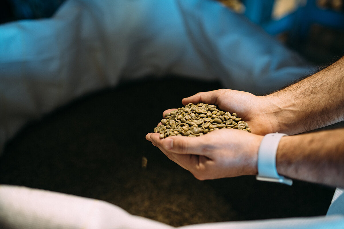 Behind The Milling Process Kona Coffee & Tea