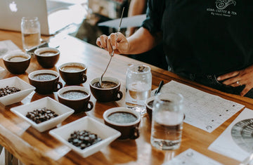 Coffee, Culture, and Celebration: Fall in Kona