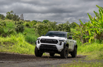 As Seen On TV: All The Shows Featuring Our Coffee Farm In Kona, Hawaii