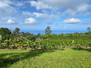 Growing Up On The Farm: Zadie's Perspective
