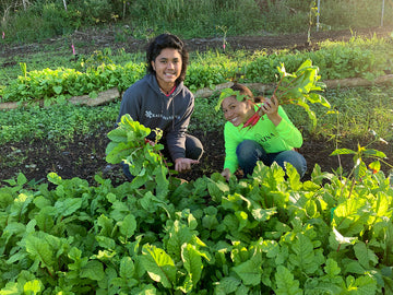 Farm Series: Cultivating the Land for the Future
