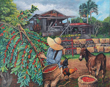 History of the Kona Coffee Festival